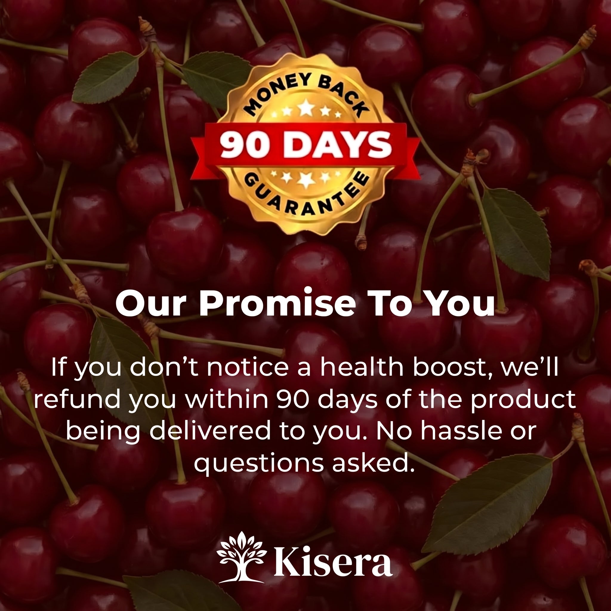 Kisera® Tart Cherry Extract